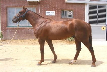 �ڴ��¾� ����