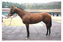 �ڳ� (CONAN) ����