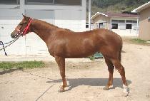 ���ȭ (EOSAHWA) ����