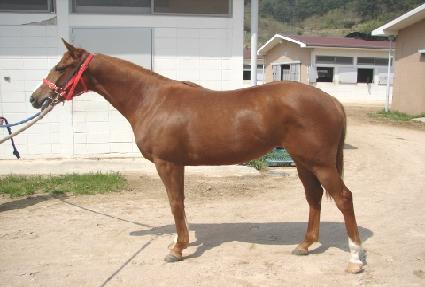 ���ȭ ����