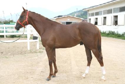 ������Ʈ ����