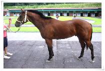 ���׸� (WINNING MAN) ����