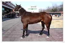 Ʈ���̷��� (TRIRED) ����