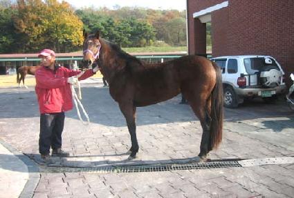 ���� ����