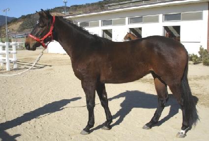 ���ο�� ����