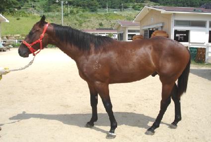 è���ε� ����