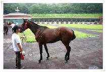 ��õ���� (GWACHEON JIJON) ����