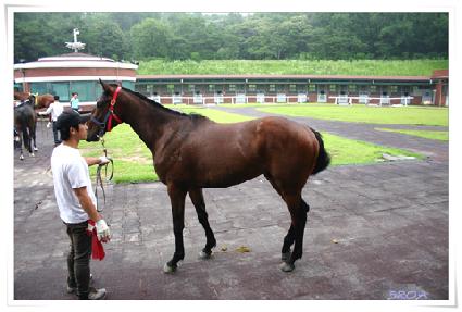 ��õ���� ����