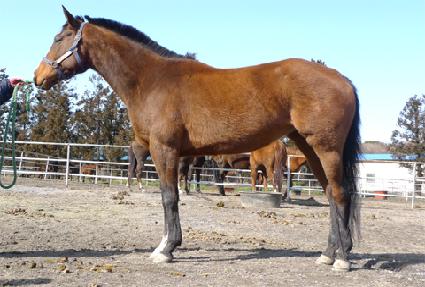 ����ŷ���� ����