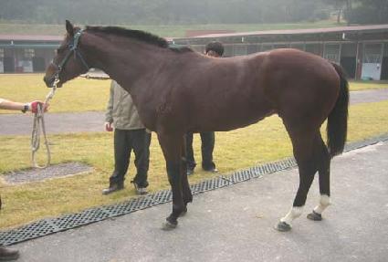 ���̺��� ����