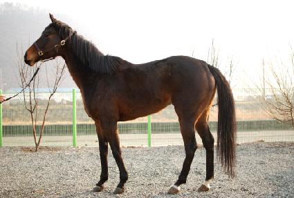 �����ű� ����