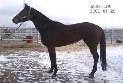 ������ũ�� ����