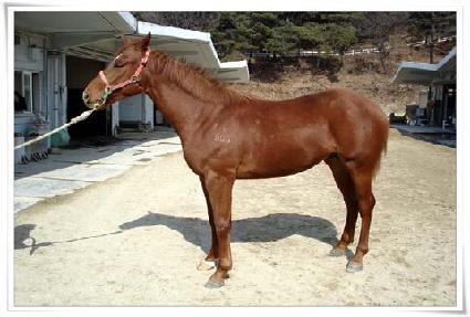 ���� ����