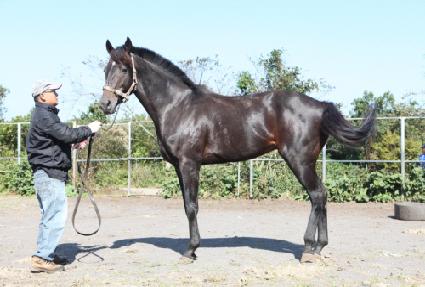 ���´�� ����