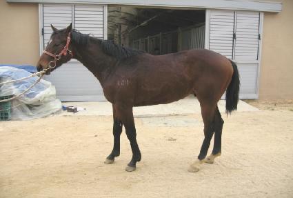 ���ĳ�� ����