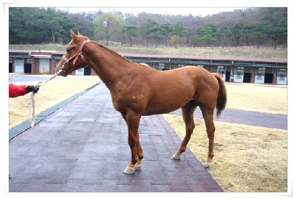 �ֻ�� ����