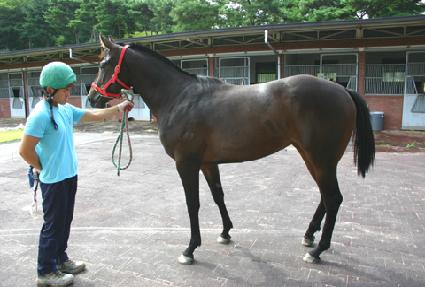 ��׷��� ����