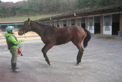 ��ۿ��� ����