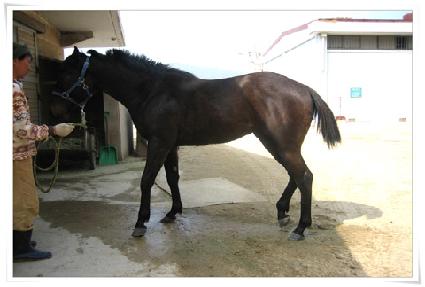 õ������ ����