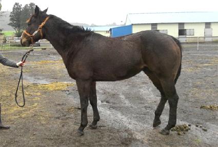 �����è�� ����