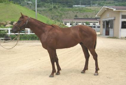 ���Ƽ�� ����