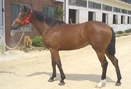 ���̵��ΰ��� ����