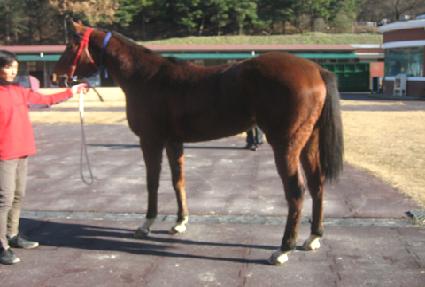 ����ȿ�� ����