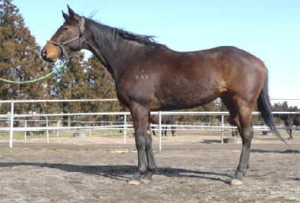 ���ǵ����� ����