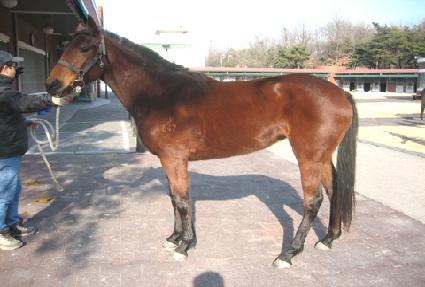 �������¾� ����