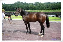 �ص�Ư�� (HAEDONG TEUKGEUP) ����