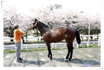 ����Ŭ���� (SUPER CLASS) ����