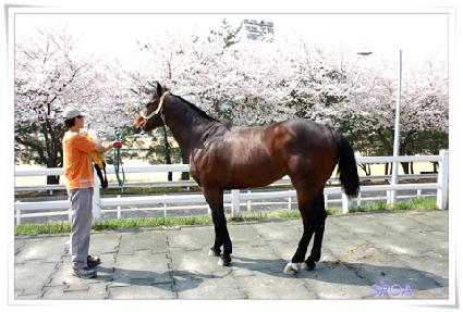 ����Ŭ���� ����