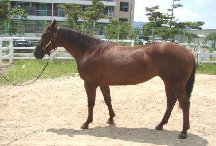 �Ŀ�Ǯ���̵� ����