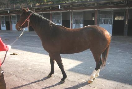 õ���ǳ��� ����