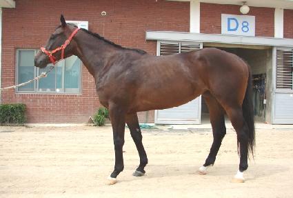 �ƺ�ī�� ����