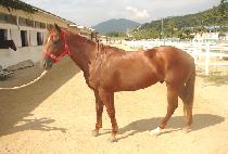 ��Ʈ����� (FT. HERO) ����