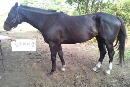 �����ǿ��� ����