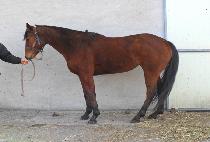 �̻�ȭ (ISANGHWA) ����