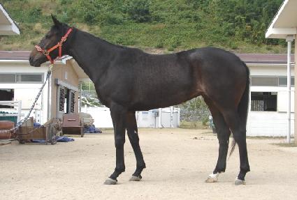 è��ç���� ����