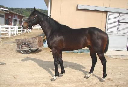 ������Ŭ���� ����