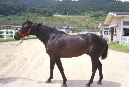 ���������ǿ� ����