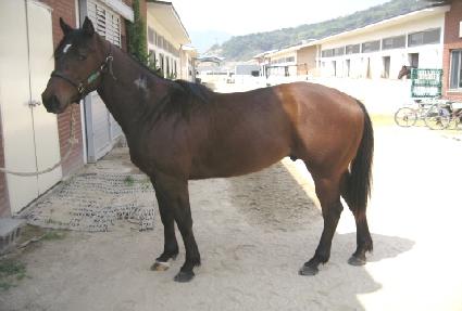 �ֹ�� ����