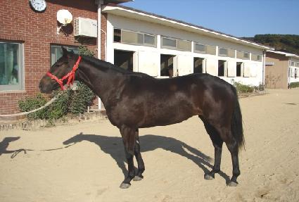 ��ƼǮ���̵� ����