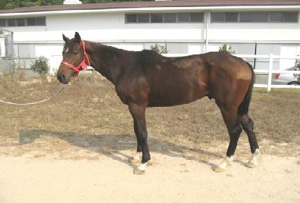 ���� ����