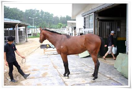 ����ûû ����