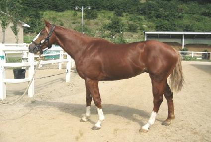 ������� ����