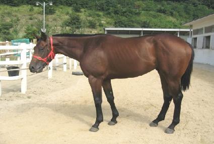 ȸ���� ����