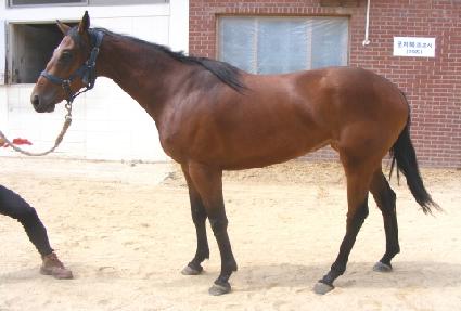 ����Ʈ���� ����