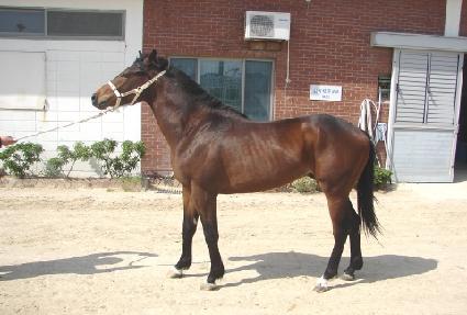 ���������� ����