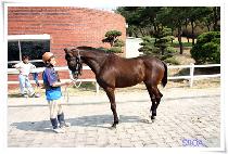 ��ũ����� (SECRET WOMAN) ����